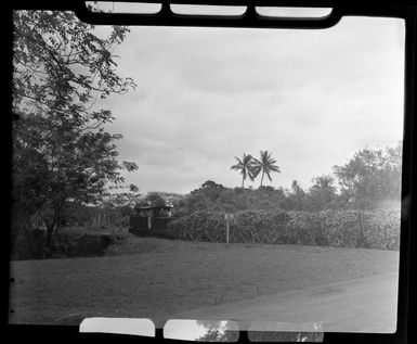 Train loaded with sugar cane, Ba, Fiji