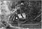 Pig festival, uprooting cordyline ritual, Tsembaga: men fold bark into oven for cooking pandanus and marsupials, shell valuables hang in background