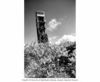 Observation tower on Bikini Island, summer 1964