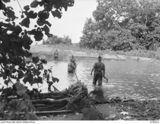 DANMAP RIVER AREA, NEW GUINEA. 1945-01-02. TROOPS OF A COMPANY, 2/11TH INFANTRY BATTALION, MAKE FOR JUNGLE COVER AFTER CROSSING THE RIVER DURING THEIR ADVANCE ON JAPANESE POSITIONS ON A HILL ..