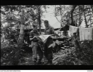 Mubo-Salamaua Area, New Guinea. 1943-07-22. VX11896 Captain E. Tait-Wills, Adjutant (on the left), and SX8886 Lieutenant Colonel T.M Conroy, Commanding Officer, confer at the 2/5th Australian ..
