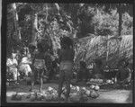 Ritual Presentation of food, Rennell Island