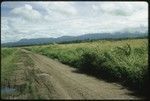 Landscape roadway