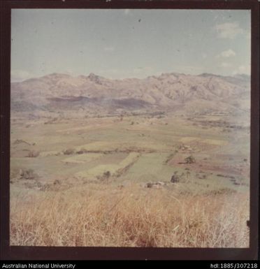 Cane fields