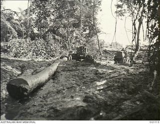 AITAPE, NORTH EAST NEW GUINEA. C. 1944-06. A LOG BEING HAULED BE A BULLDOZER FROM THE MUD AND SLUSH OF THE NEW GUINEA JUNGLE WHERE NO. 7 MOBILE WORKS UNIT RAAF IS BUILDING A BRIDGE