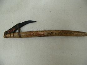 Halhorog