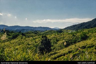 Okapa road - 3 miles to Okapa (left of road), Finisterre Mountains in background