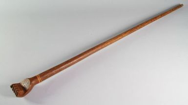 Walking Stick