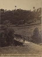 Bridge near Apia