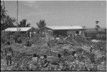 Land clearing: men remove trees and bushes from rocky land, preparing for construction