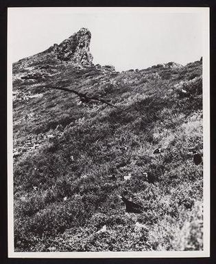 Nihoa, undated (no negs)