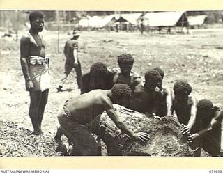 LAE, NEW GUINEA. 1944-03-25. NATIVES SERVING TERMS OF IMPRISONMENT CLEARING VEGETASBLE GARDENS AT THE KALABUS (CASLABOOSE), THE AUSTRALIAN NEW GUINEA ADMINISTRATIVE UNIT NATIVE GAOL, UNDER THE ..