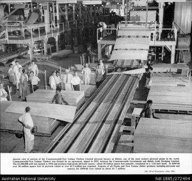 Interior view of portion of the Commonwealth-New Guinea Timbers Limited plywood factory at Bulolo