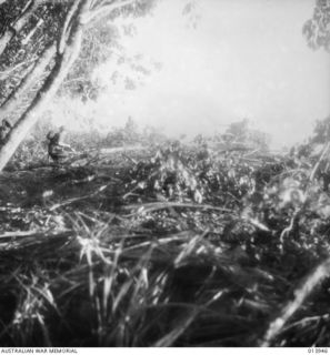 1942-12-28. PAPUA, GIROPA POINT AREA. AUSTRALIAN MANNED TANK AND INFANTRYMEN IN ACTION AGAINST THE JAPANESE BEFORE THE FINAL ASSAULT ON BUNA. (NEGATIVE BY G. SILK.)