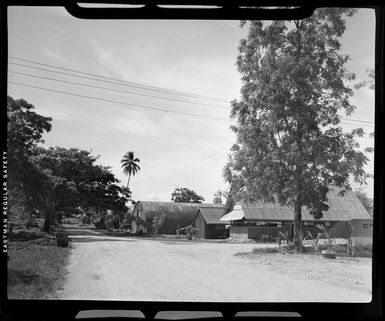 Dirt road, wooden and corrugated buildings on one side, Madang, Papua New Guinea