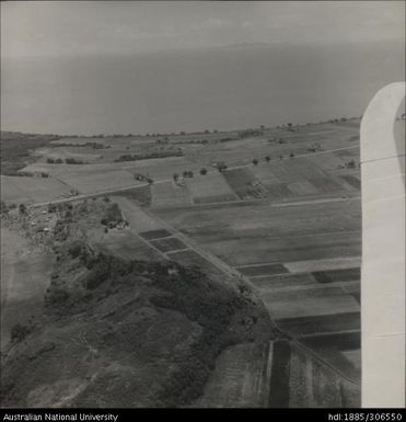 Aerial views of fields and crops