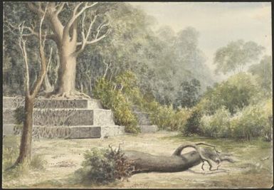 A tomb of a Tui Tonga or high chief near [...], Tongataho [i.e. Tongatabu] [James Gay Sawkins]
