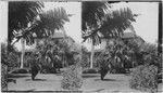 Honolulu Residence