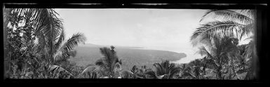 View in Samoa [probably near Apia], from a hill down through banana palms to a flat coastal area