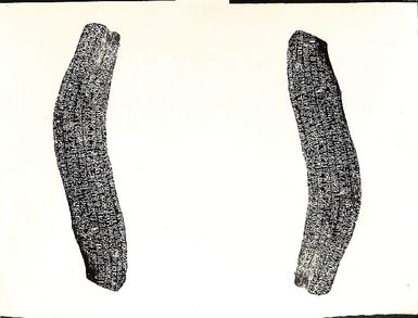 Photo of two objects (Y02-13(1,2))