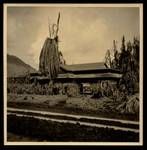 Damage after volcanic eruption, Rabaul, 1937