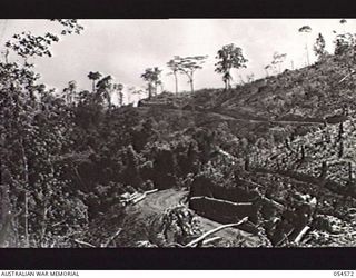 MILNE BAY, NEW GUINEA, 1943-07-11. LOOKING UP HILL STATION ROAD (MAPO ROAD) TOWARDS TURNBULL LOOKOUT. IT WAS NAMED AFTER SQUADRON LEADER TURNBULL, THE RAAF ACE. THIS ROAD WAS CONSTRUCTED BY "D" ..