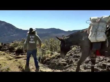 PBS Hawai‘i - HIKI NŌ Episode 714 | Seabury Hall Middle School | Haleakala Mules