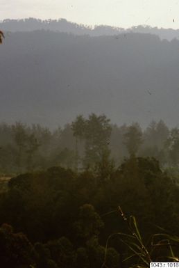 ["fotografi, photograph"]