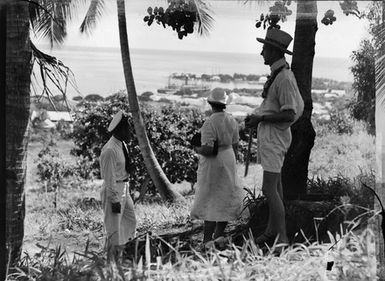 [Group of people under palm trees looking out to sea]