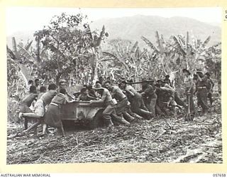 KAIAPIT, NEW GUINEA, 1943-09-22. TROOPS OF THE 2/16TH AUSTRALIAN INFANTRY BATTALION AND NATIVES JOIN FORCES TO PUSH A BOGGED JEEP AND TRAILER OUT OF DIFFICULTIES ON THE ROAD BETWEEN KAIAPIT AND ..