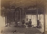 2646 - Samoan house-Apia-Kava Making