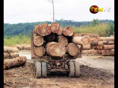 Forest's Global Role