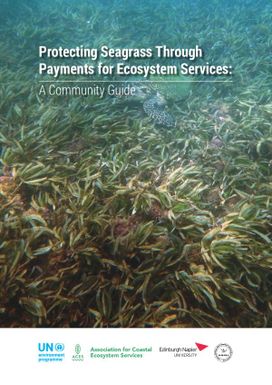 Protecting Seagrass through Payments for Ecosystem Services: A Community Guide