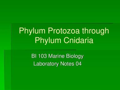 Phylum protozoa through Phylum Cnidaria - Marine biology