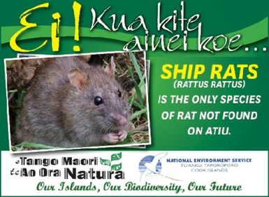 Did you know - Ship Rats