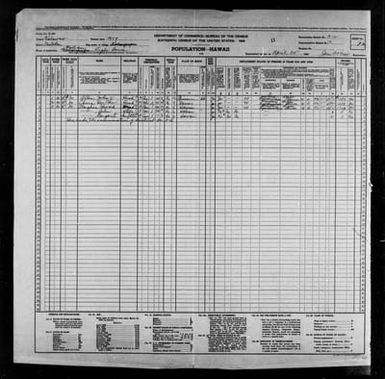 1940 Census Population Schedules - Hawaii - Kalawao County - ED 3-2