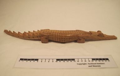 crocodile