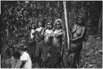 Pig festival, pig sacrifice, Tsembaga: during presentation of salted pork to allies, decorated women and Marek Jablonko behind ritual fence