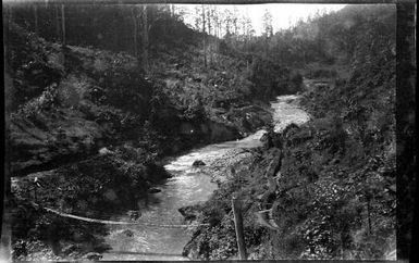 Wire bridge over creek, New Guinea, ca. 1935 / Sarah Chinnery