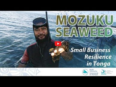 TONGA: How a seaweed family business survived COVID and the volcano eruption.