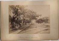 Newman Avenue. Honolulu