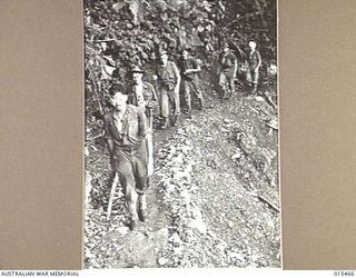 1943-08-09. NEW GUINEA. AS THE BATTLE FOR MOUNT TAMBU NEAR SALAMAUA GOES ON AUSTRALIAN VETERANS REALISE THEY HAVE NEVER FOUGHT A NASTIER COMBINATION THAN THE JUNGLE AND THE JAPANESE. HERE ARE ..