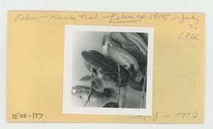 [Pelea in Hawaii, envelope IE24-177]