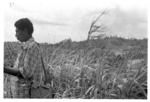 Malakai "Japper" on Tongan "graves" at Moana-i-Ra, Nukunuku (village on skyline behind shoulder)