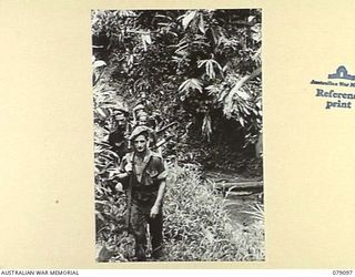 WARAPA AREA, BOUGAINVILLE ISLAND. 1945-02-13. TROOPS OF "A" COMPANY, 61ST INFANTRY BATTALION MOVING OUT ON A PATROL IN THE AREA. IDENTIFIED PERSONNEL ARE:- Q28352 PRIVATE C.H. EMBREY (1); SX39025 ..