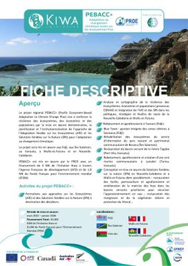 PEBACC+ projet fiche descriptive