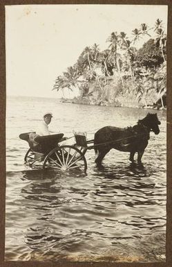 Horse-drawn carriage in the ocean. From the album: Samoa