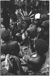 Pig festival, pig sacrifice, Tsembaga: decorated men give bundles of salted pork to allies on other side of ritual fence