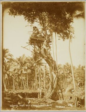 Native fort with tree lookout