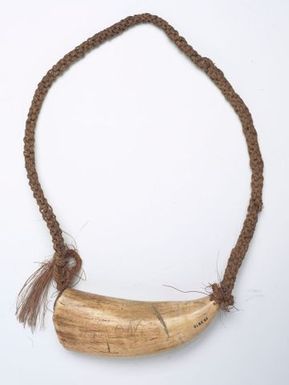 Tabua (Ceremonial whale tooth)